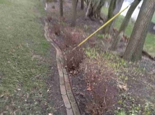 Leaf Removal by Vontae Green for Gerri B. in Gary, IN