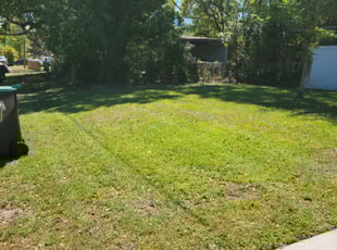 Bush Trimming by Carlos Martinez for Deborah L. in Orlando, FL