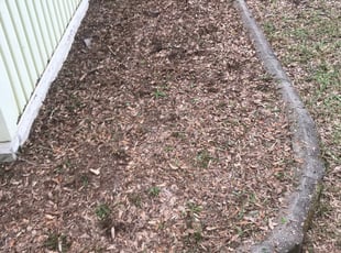 Weeding by Xavier Grant for Craig W. in North Myrtle Beach, SC