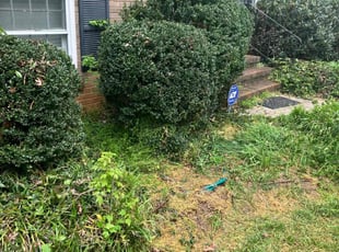 Bush Trimming by Jermaine Kerr for Ellen J. in Charlotte, NC