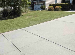Carlos S.'s Lawn Maintenance service result