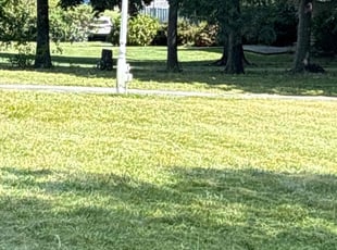 Chris V.'s Lawn Service service result