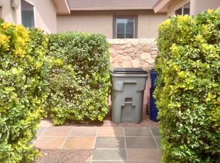 Bush Trimming by Jason Shealor for Erik S. in El Paso, TX