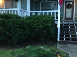 Bush Trimming by Daniel Shaw for Devon H. in Nashville, TN