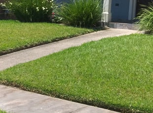 Weeding by Roger Boudreaux for Tenitra P. in New Orleans, LA