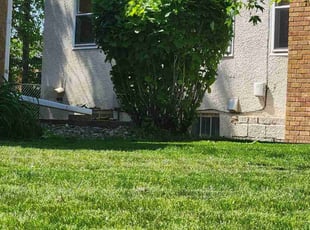 Bush Trimming by Rashard Smith for Henry P. in Minneapolis, MN
