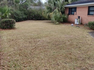 Bush Trimming by James Curry for Eldridge D. in Tallahassee, FL