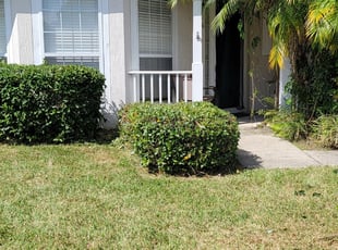 Bush Trimming by Christopher Roberts for Steven P. in Orlando, FL
