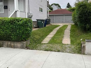 Bush Trimming by Imani Tobin for Sammi J. in Bridgeport, CT