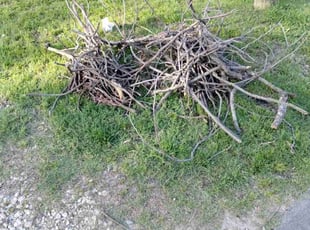 Cleanups by Bradley Wilson for Brady L. in Cleburne, TX