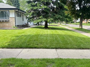 Theresa B.'s Lawn Service service result