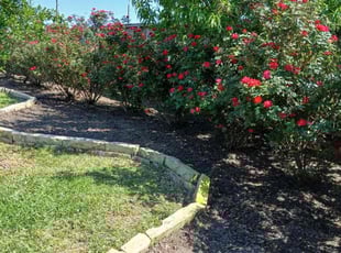 Cleanups by Ana Zelaya for Yefan T. in Richmond, TX