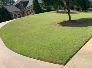 Andrew H.'s Lawn Mowing Service service result