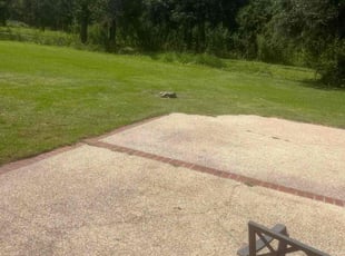 Amia C.'s Lawn Care service result