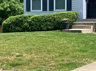 Bush Trimming by Olson Parker for Tatiana S. in Upper Marlboro, MD