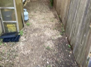 Leaf Removal by Ryan Mitchelldee see for Hugh D. in Austin, TX