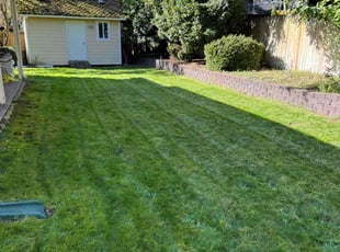 Javier C.'s Grass Cutting service result