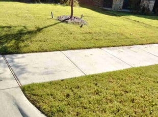 Clara H.'s Grass Cutting service result