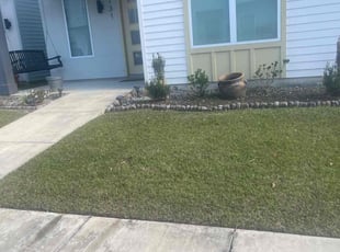 Weeding by Carl George for Daphne M. in Baton Rouge, LA