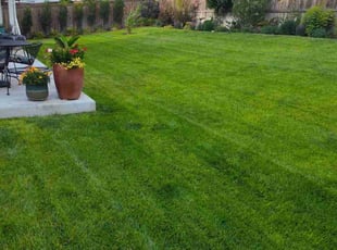Maya W.'s Lawn Care service result