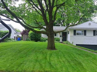 Josh P.'s Lawn Service service result