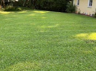 Lisa Y.'s Yard Cutting service result