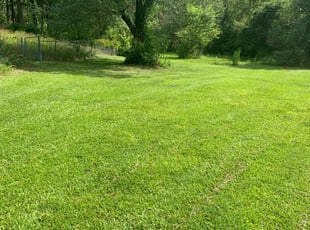Donna C.'s Lawn Care service result