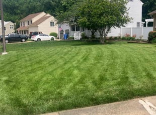 Kathryn T.'s Lawn Service service result