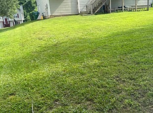 Genee S.'s Lawn Mowing Service service result