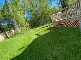 Alison H.'s Lawn Mowing service result