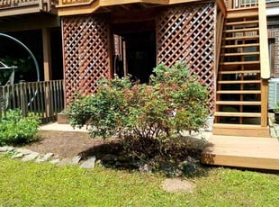 Weeding by Thomas Fador for Andrew A. in Lutherville-Timonium, MD