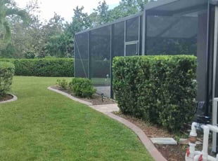 Bush Trimming by Jose Santos for Amy H. in Fort Myers, FL