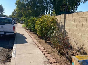 Cleanups by Taylor Dodson for Fernando M. in Mesa, AZ