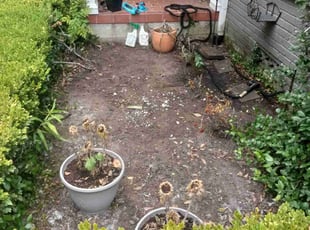 Weeding by Omar Norris for Ashley T. in Houston, TX