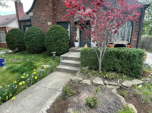 Bush Trimming by Anthony Grant for Adrienne S. in Indianapolis, IN
