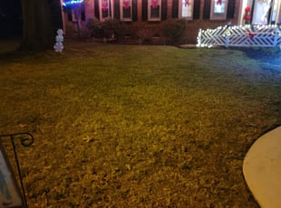 Leaf Removal by Michelle Kramer for Rosie F. in Virginia Beach, VA