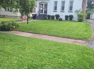 Sydney v.'s Lawn Service service result