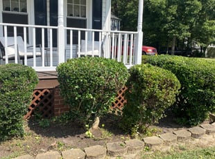 Bush Trimming by Lenard Cutler for Kristi G. in Chester, VA