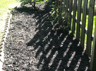 Weeding by Johnny Julian for Joel B. in Cincinnati, OH