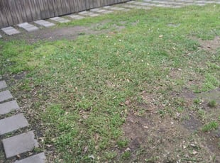 Cleanups by Arnold Martin for Rachel g. in Houston, TX
