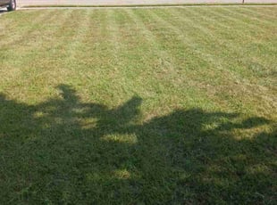Ken S.'s Lawn Service service result