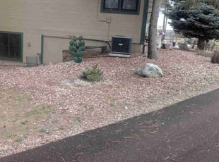 Cleanups by Brandon Metzer for Carole G. in Colorado Springs, CO