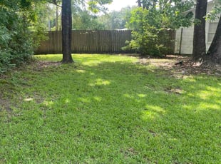 Patty H.'s Yard Cutting service result