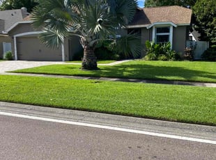 Mari W.'s Lawn Care service result