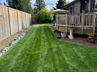 Alyssa M.'s Lawn Mowing service result