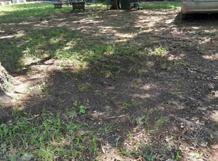 Cleanups by Bradley Rearden for Shawn M. in Midlothian, TX