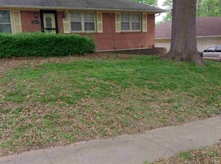 Bush Trimming by Susan Kendrick for Rebekah H. in Kansas City, KS