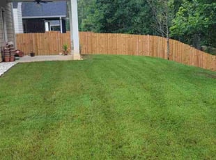 Bradford M.'s Lawn Mowing service result