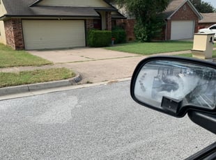 Bush Trimming by Trisha Williams for Natalie L. in Arlington, TX