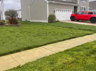 Niyi A.'s Grass Cutting service result